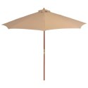  Parasol ogrodowy na drewnianym słupku, 300 cm, taupe