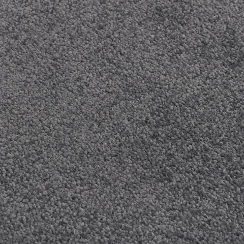 Wycieraczka, antracytowa, 80 x 120 cm Wycieraczka, antracytowa, 80 x 120 cm