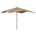  Parasol ogrodowy na drewnianym słupku, taupe, 300x300x273 cm