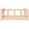  Legowisko dla psa, 65,5x50,5x28 cm, lite drewno sosnowe