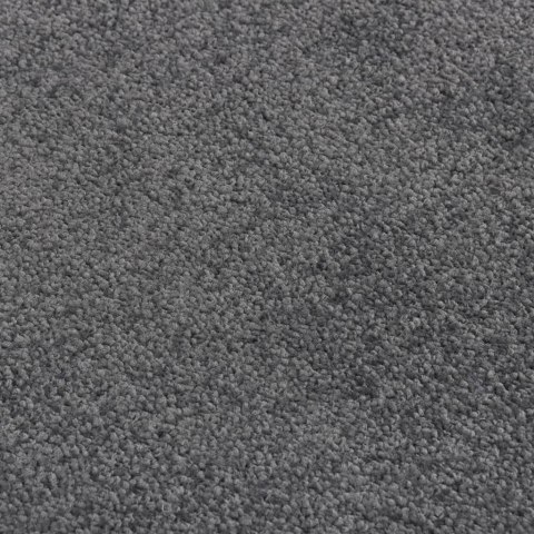 Wycieraczka, antracytowa, 60x80 cm Wycieraczka, antracytowa, 60x80 cm