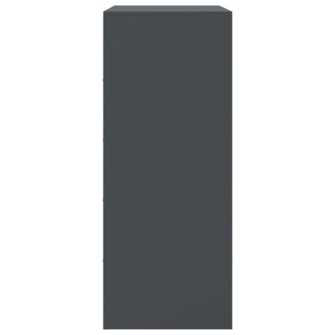 Szafka, antracytowa, 67x39x95 cm, stal Szafka, antracytowa, 67x39x95 cm, stal