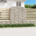 VidaXL Łukowaty kosz gabionowy 200x50x220/240 cm, galwanizowane żelazo