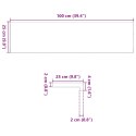 VidaXL Stopnie schodowe, 2 szt., surowe, 100x25x2 cm