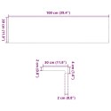 VidaXL Stopnie schodowe, 2 szt., surowe, 100x30x2 cm