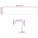 VidaXL Stopnie schodowe, 2 szt., surowe, 120x25x2 cm