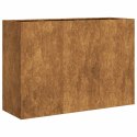 Doniczka Rusty 120x40x80 cm Stal nierdzewna