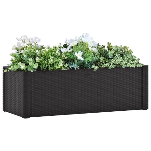  Podwyższona donica z systemem podlewania, antracyt, 100x43x33cm