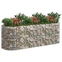  Podwyższona donica gabionowa galwanizowane żelazo 300x100x100cm