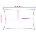  Żagiel przeciwsłoneczny, 160 g/m², brązowy, 2x2,5 m, HDPE