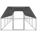  Klatka zewnętrzna dla kurcząt, 3x12x2 m, stal galwanizowana