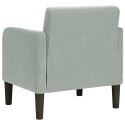  Sofa Fotel z Podłokietnikami Jasnoszary 54 cm Aksamit