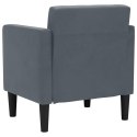  Sofa Fotel z Podłokietnikami Ciemnoszary 53 cm Aksamit