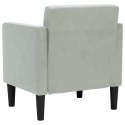  Sofa Fotel z Podłokietnikami Jasnoszary 53 cm Aksamit