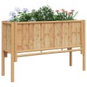 Podniesiony ogród vidaXL 110x35x70 cm z bambusa