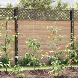 VidaXL Spiralne Wsparcia dla Roślin 20 szt. 150 cm Stal Galwanizowana