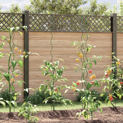  Spiralne Wsparcie Roślin 50 szt. 170 cm Stal
