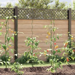  Spiralne wsparcia dla roślin (20 szt., 150 cm, Stal)