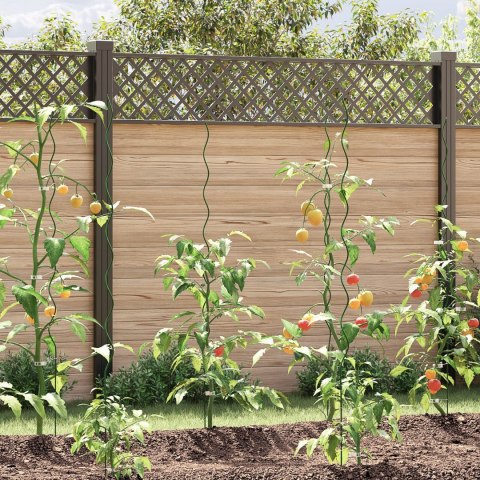  Spiralne wsparcia dla roślin (20 szt., 150 cm, Stal)