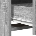 Toaletka vidaXL z lampkami LED Szary Sonoma 50x41x135 cm