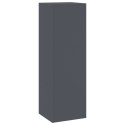  Stojaki na rośliny na zewnątrz Filary 2 szt. Antracytowy 24x24x75 cm Stal