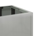  Podniesiony Ziemniakowiec 100x26x82 cm Stal Galwanizowana
