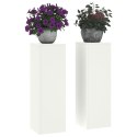  Zewnętrzne Stojaki na Rośliny Filary 2 szt. Biały 24x24x75 cm Stal