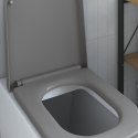 Szybkomontowane siedzisko toaletowe vidaXL z miękkim domykaniem Duroplast Szary