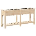 VidaXL Donica ogrodowa z siatkami 161x43x76 cm z litego drewna świerkowego