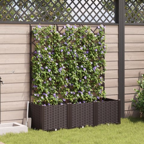 VidaXL Donica ogrodowa z kratą 3 szt Brązowa 120x40x143 cm