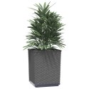 VidaXL Donice, 4 szt., ciemnoszare, 30x30x37 cm, polipropylen