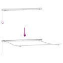 Markiza manualna vidaXL chowana czarna 300x250 cm, Materiał do wymiany w markizie vidaXL na ramę 3x2.5 m czarny
