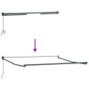 VidaXL Ręczna chowana markiza Czerwona 300x250 cm, vidaXL Materiał wymienny do markizy 3x2.5 m Ramka Czerwona