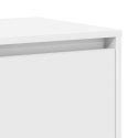 VidaXL Biały Sideboard Biały Materiał drewnopochodny 120 x 41 x 75 cm