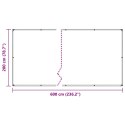 VidaXL Przezroczysta plandeka z oczkami 2x6 m PVC