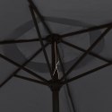 VidaXL Parasol ogrodowy z LED i stalowym słupkiem, 300 cm, czarny