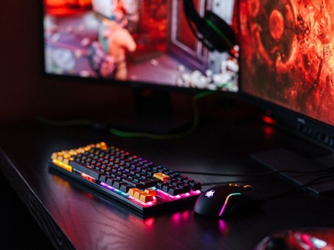 Tracer Zestaw mysz i klawiatura mechaniczna Gamezone Hornet87 USB