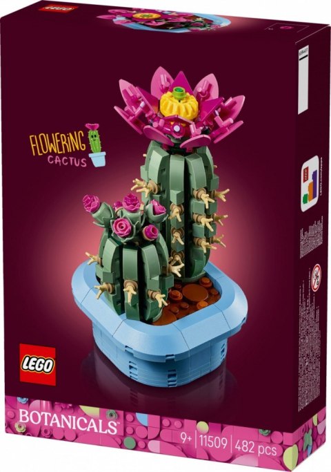 LEGO Klocki Botanicals 11509 Kwitnący kaktus