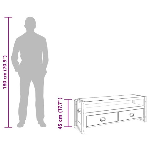 VidaXL TV skrinka 120x35x45 cm masívne mangovníkové drevo