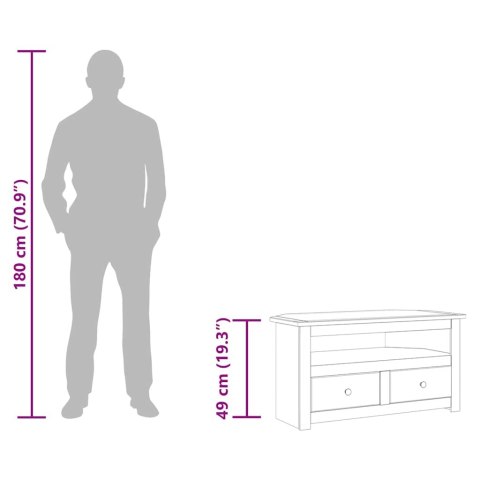 VidaXL Rohová TV skrinka 93x49x49 cm borovicový masív Panama Range