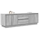 VidaXL TV skrinka s LED, sivý dub sonoma 160,5x41x50 cm