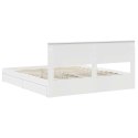 VidaXL Úložná posteľ so zásuvkou Biela 180 x 200 cm Kompozitné drevo
